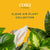 Costa Farms Live Plants (3 Pack), Easy to Grow Real Indoor Houseplants, Air Purifying Plants, Grower's Choice in Home Décor Indoors Plant Pots, New House Gift or Room Décor