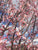 Okame Ornamental Flowering Cherry Tree