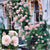 New Dawn Climbing Rose
