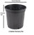 Lo & Behold® 'Pink Micro Chip' Dwarf Butterfly Bush