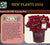  Autumn Fire™ Encore® Azalea Rhododendron ‘Roblez’ PPAF