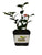 Quart Pot