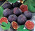 Olympian Fig  ficus carica