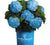 Endless Summer® Mophead Hydrangea hydrangea macrophylla bailmer PP15, 298